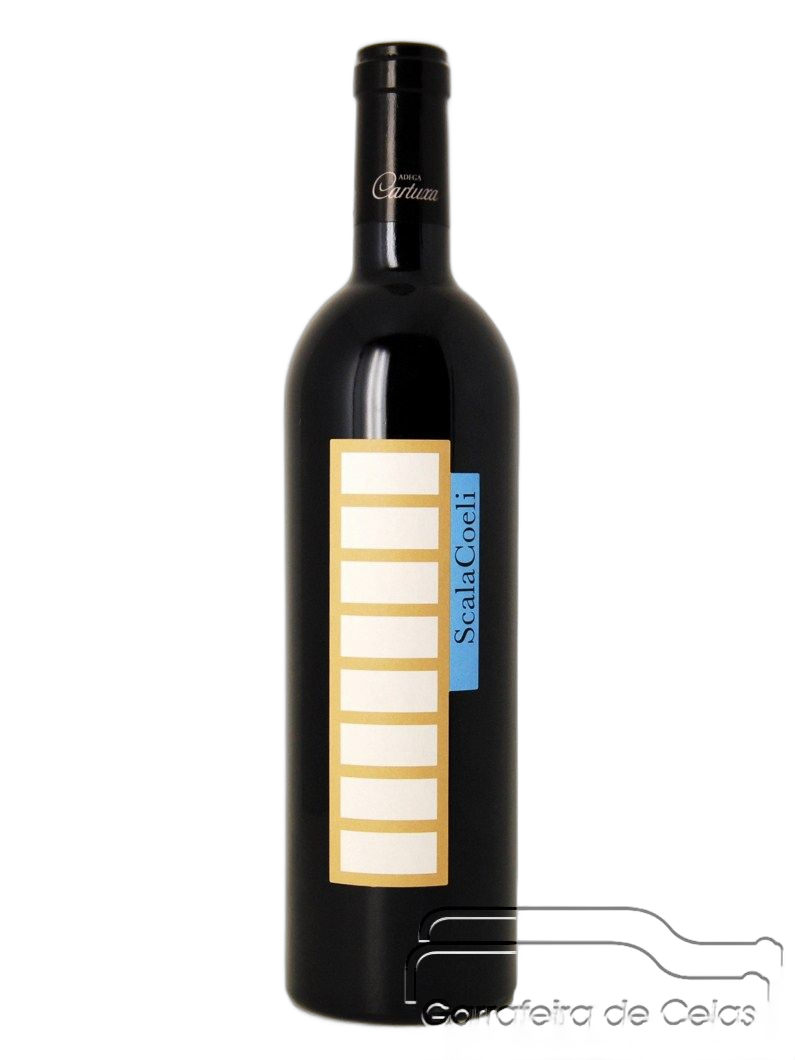 Scala Coeli Syrah