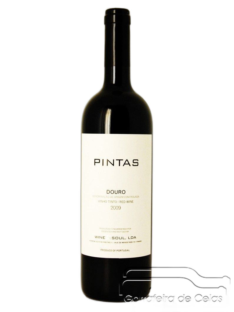 Pintas