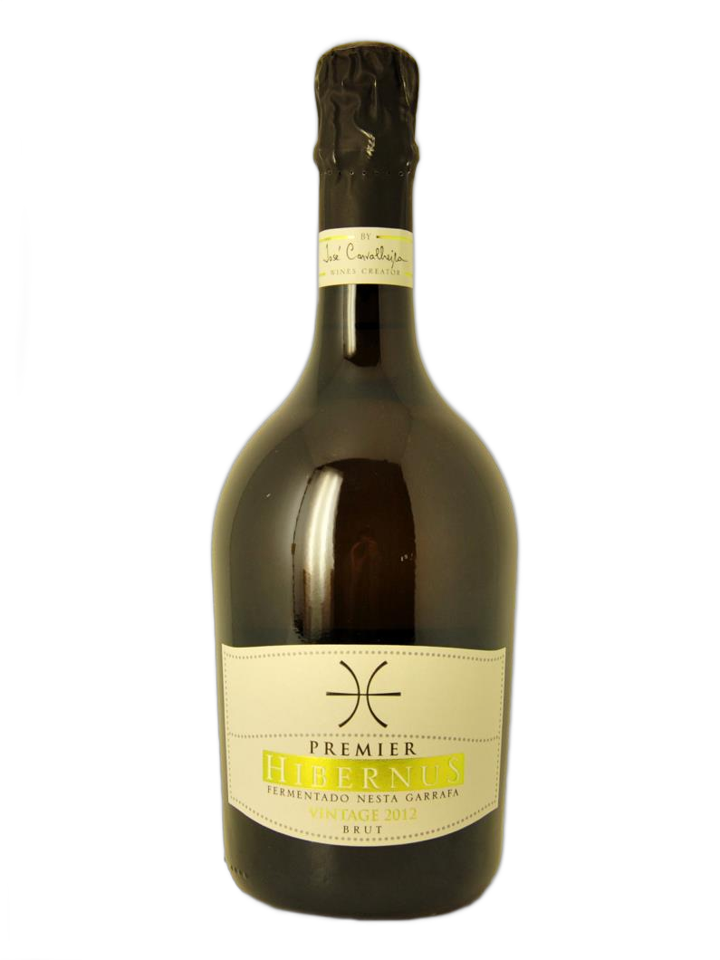 Hibernus Premier