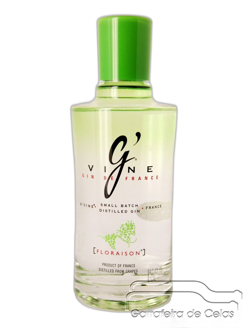 Gin G'Vine
