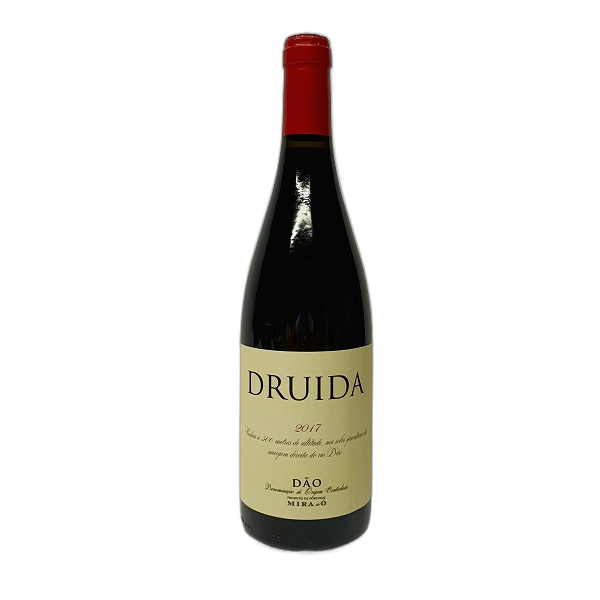 Druida