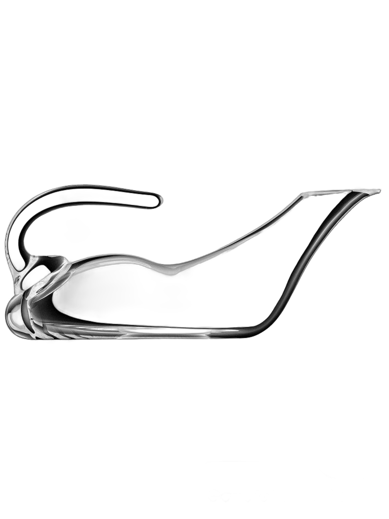 Decanter Duck Riedel